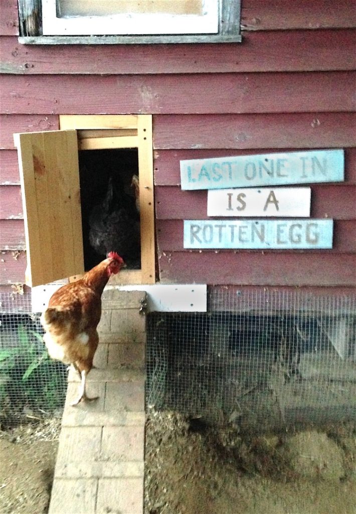 Coopodoit 15x DIY Chicken Coop Plans